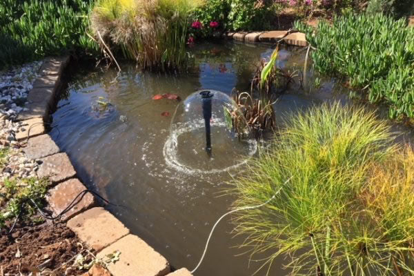 Guidelines for Selecting the right Pond Pump