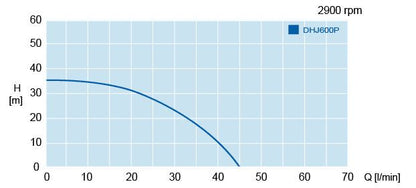 Hyjet DHJ600P Automatic Jet Pump (45 LPM)