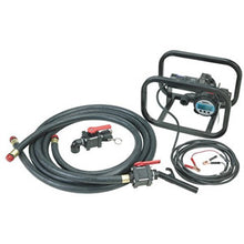 Shurflo AG Runner 12V DC Chemical Pump System - SF-1105-PTS