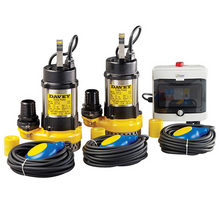 Davey Sumpmaster Mini Package